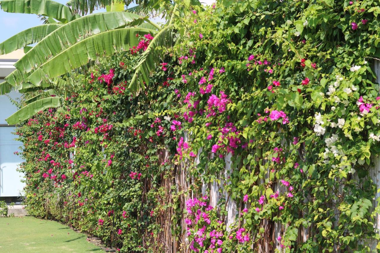 Alma Resort Cam Ranh Exteriér fotografie